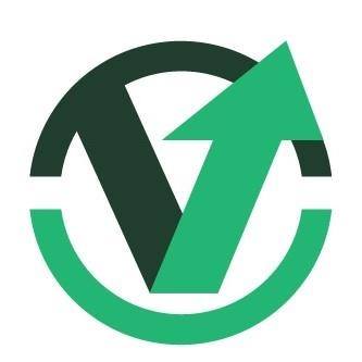 Value of Stocks logo